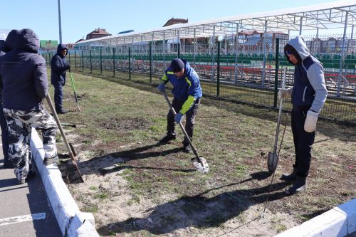 В Нурлате прошел День посадки леса