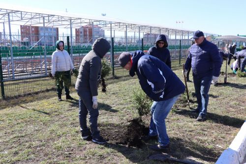 В Нурлате прошел День посадки леса