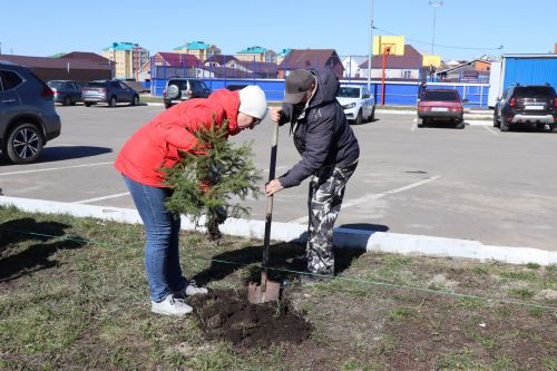 В Нурлате прошел День посадки леса