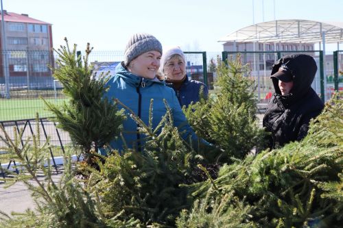 В Нурлате прошел День посадки леса