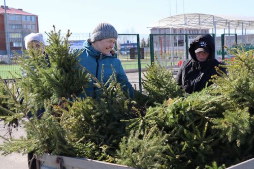 В Нурлате прошел День посадки леса
