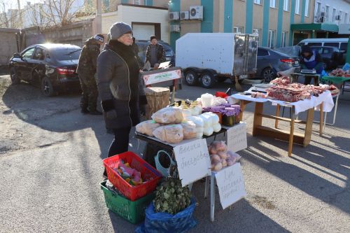 В Нурлате прошла сельскохозяйственная ярмарка