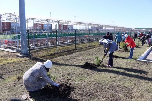 В Нурлате прошел День посадки леса