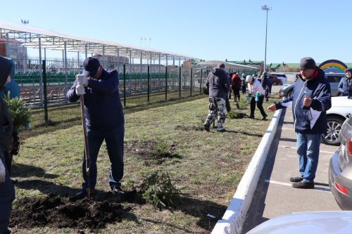 В Нурлате прошел День посадки леса