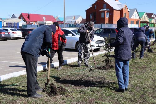 В Нурлате прошел День посадки леса