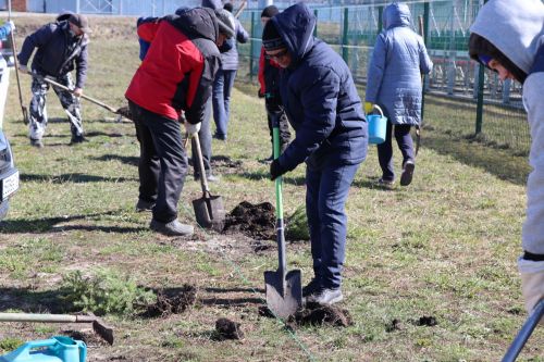 В Нурлате прошел День посадки леса