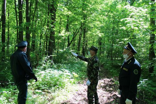 В республике проходит природоохранная акция «Чистые леса Татарстана»