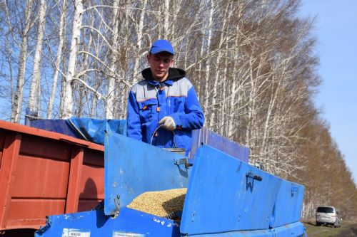 На поле вышли студенты Нурлатского аграрного техникума