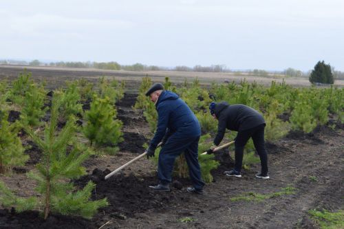 Нурлатцы присоединились к Всероссийскому экологическому субботнику