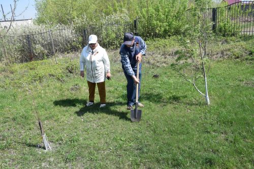 Нурлатские журналисты обновили Аллею 10-летия местного телевидения