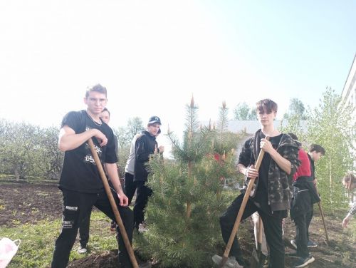 Нурлатские школьники высадили деревья