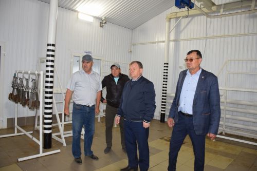 Дамир Ишкинеев ознакомился с ходом заготовки кормов в хозяйстве «Нурлат сэте»