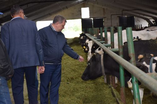Дамир Ишкинеев ознакомился с ходом заготовки кормов в хозяйстве «Нурлат сэте»