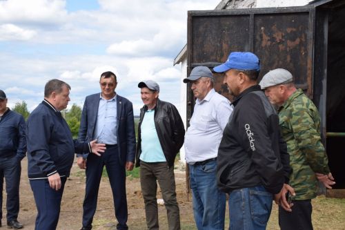 Дамир Ишкинеев ознакомился с ходом заготовки кормов в хозяйстве «Нурлат сэте»