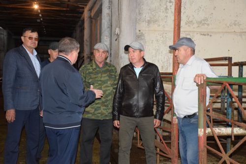 Дамир Ишкинеев ознакомился с ходом заготовки кормов в хозяйстве «Нурлат сэте»