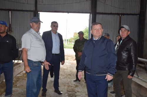 Дамир Ишкинеев ознакомился с ходом заготовки кормов в хозяйстве «Нурлат сэте»