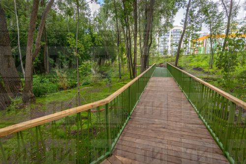 В Набережных Челнах поймали кабана, который несколько дней гулял в городе