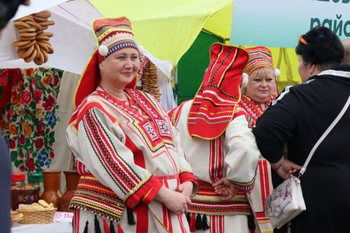 Нурлатский район достойно представил Татарстан на республиканском Сабантуе в Мордовии