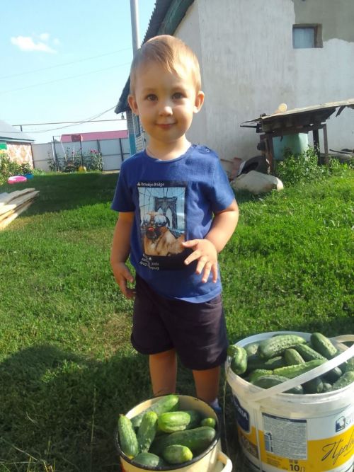 Дмитрий и его мама Надежда Глуховы принимают участие в конкурсе фотографий