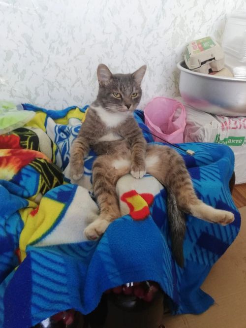 Евгений Никонов отправил свою заявку на конкурс фотографий