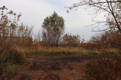 В Нурлате ожидаются местами небольшие осадки в виде дождя и мокрого снега