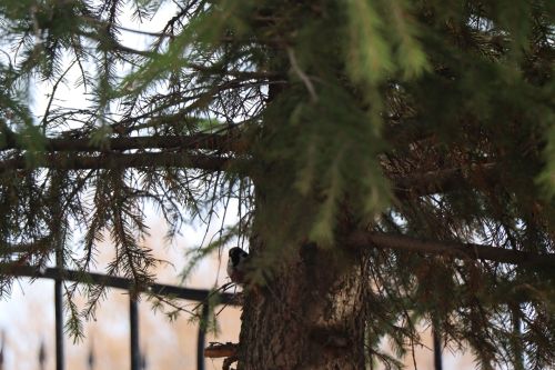 Завтра в Нурлате ожидаются осадки в виде дождя и мокрого снега