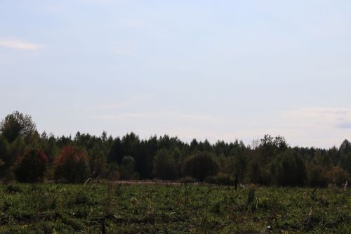 Сегодня вечером в Нурлатском районе облачно с прояснениями