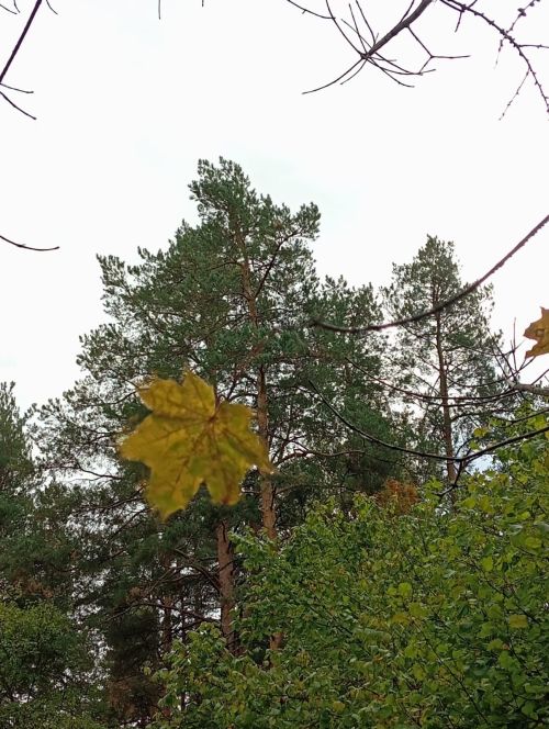 В Нурлатском районе ночью ожидается местами небольшой дождь