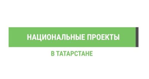 Благодаря нацпроекту «Экология» в Татарстане выращено 30,8 млн сеянцев и саженцев