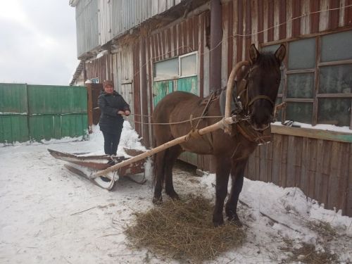 Кому и сколько положена доплата за сельский стаж