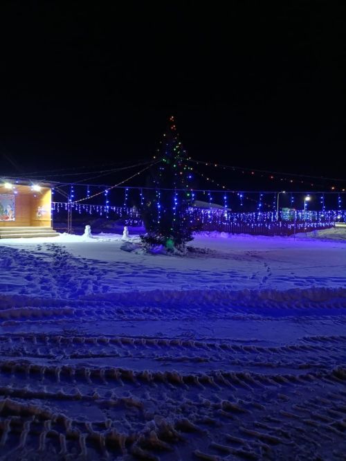 В Степноозерском сельском поселении и в этом году порядка 100 семей встречают Новый год, празднично украсив свои дома