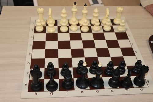 В Нурлате прошел Фестиваль спорта в рамках декады инвалидов