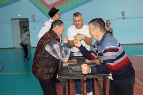 В Нурлате прошел Фестиваль спорта в рамках декады инвалидов