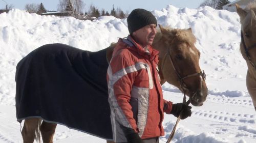 Нурлатцам показали, как можно бороться на татарских «мустангах»