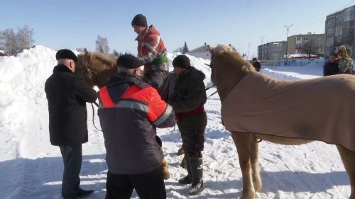 Нурлатцам показали, как можно бороться на татарских «мустангах»