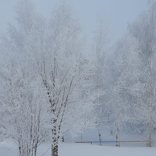И завтра нурлатцев ожидает туман