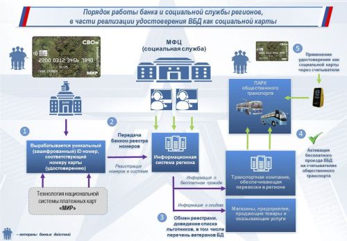 Стал известен вид новых электронных удостоверений ветеранов СВО