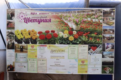 Нурлат и в этом году украсят порядка 100 тыс. различных цветов