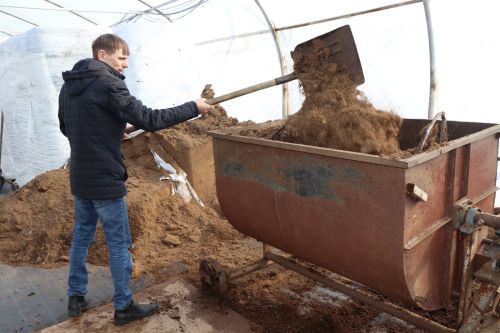Нурлат и в этом году украсят порядка 100 тыс. различных цветов