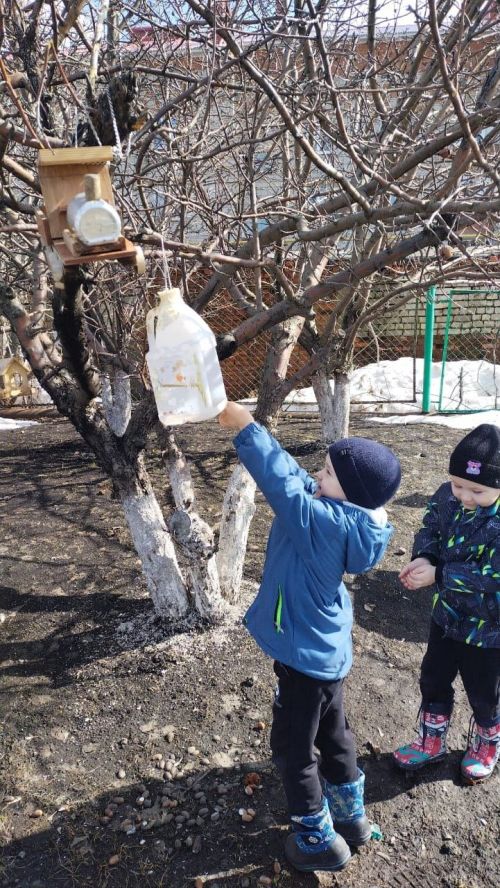 Воспитанники детского сада «Камыр Батыр» наполнили кормом кормушки для птиц
