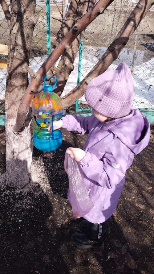 Воспитанники детского сада «Камыр Батыр» наполнили кормом кормушки для птиц