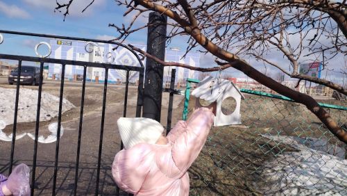 Воспитанники детского сада «Камыр Батыр» наполнили кормом кормушки для птиц