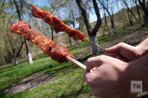 Нурлатцам рассказали как пожарить шашлык и не устроить пожар