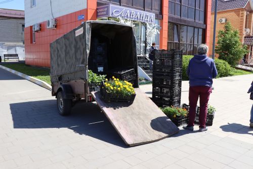 В Нурлате идет посадка цветов