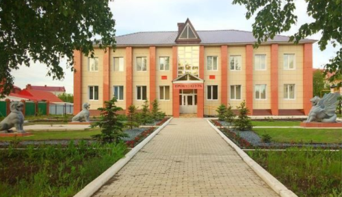 Жительнице Нурлатского района вынесен приговор за нанесение тяжкого вреда сожителю