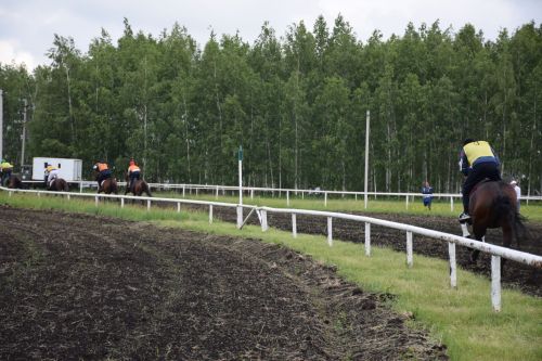 В Нурлате главный приз конноспортивных соревнований завоевал Радимир Кириллов из Чувашской Менчи