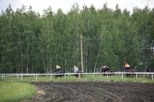 В Нурлате главный приз конноспортивных соревнований завоевал Радимир Кириллов из Чувашской Менчи
