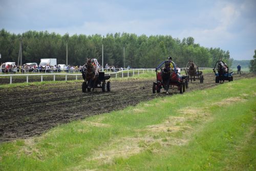 В Нурлате главный приз конноспортивных соревнований завоевал Радимир Кириллов из Чувашской Менчи