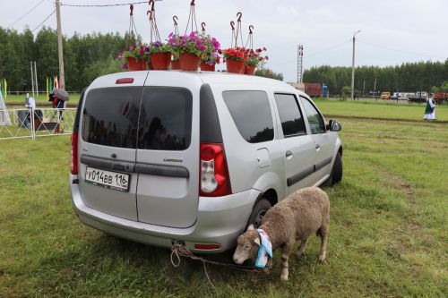Нурлатский Сабантуй поразил яркостью красок