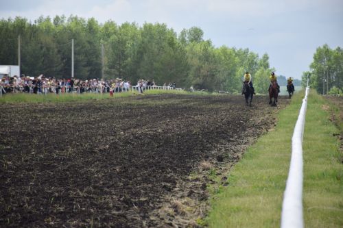 В Нурлате главный приз конноспортивных соревнований завоевал Радимир Кириллов из Чувашской Менчи